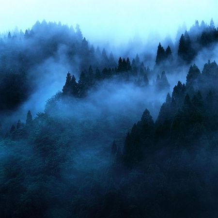 "Mount'N Mist" Ella Exterior foto
