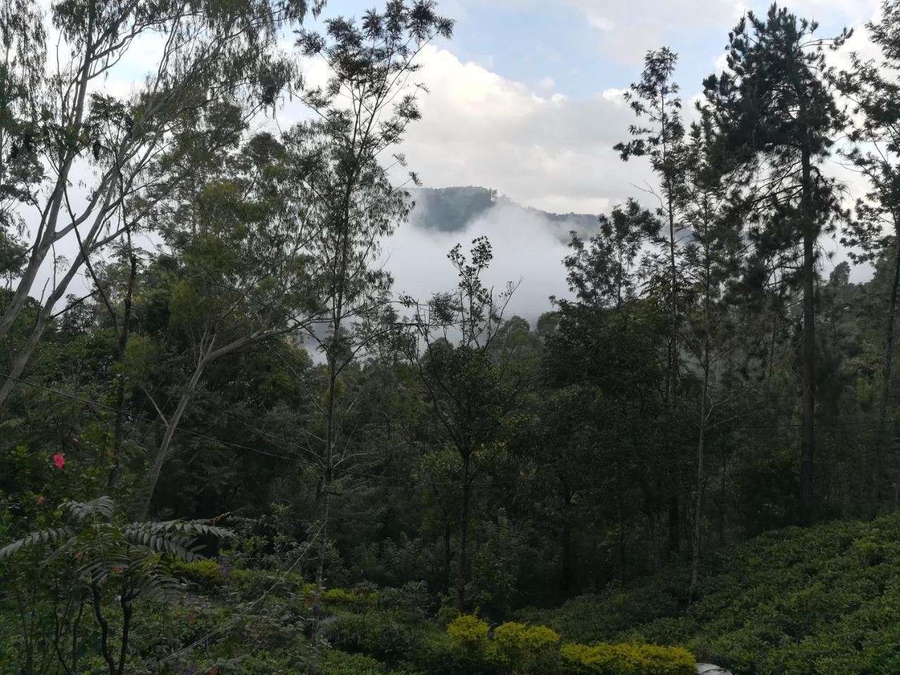 "Mount'N Mist" Ella Exterior foto