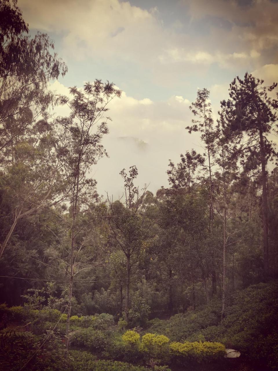 "Mount'N Mist" Ella Exterior foto