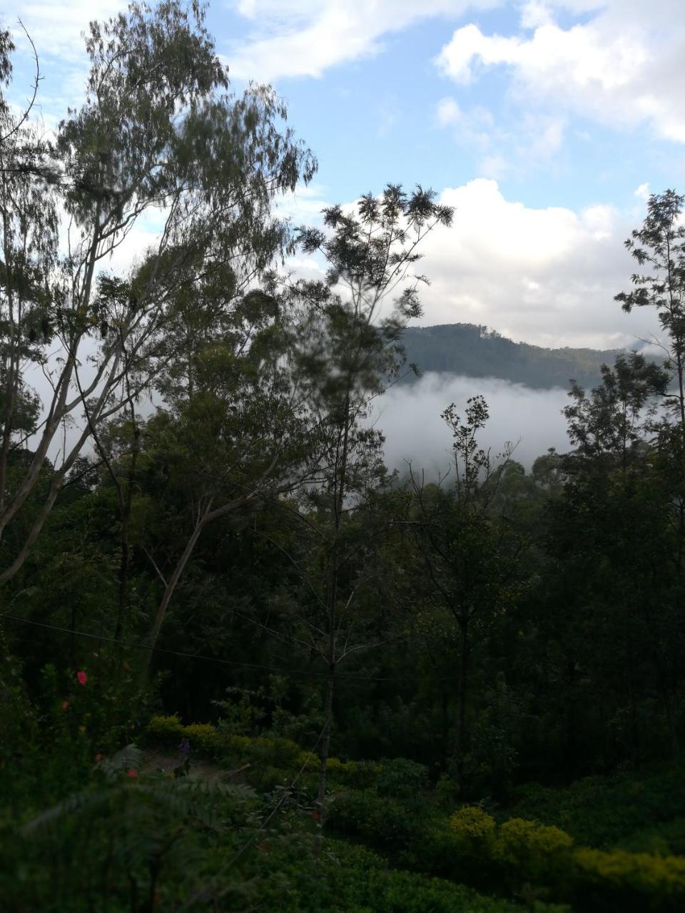 "Mount'N Mist" Ella Exterior foto