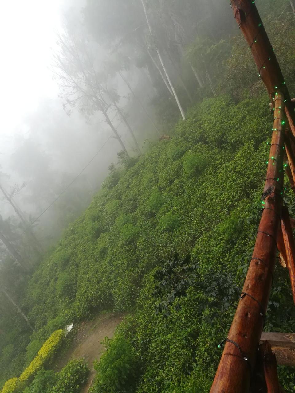 "Mount'N Mist" Ella Exterior foto